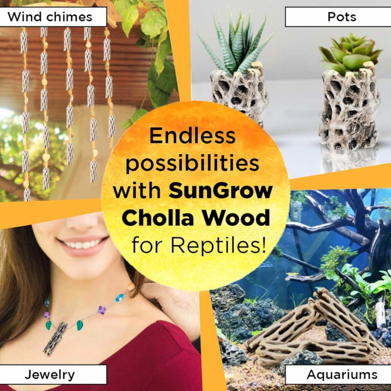 SunGrow Leopard Gecko Cholla Wood, 5 Inches Long, Create Basking Spot, Artistic Home-Decor, Lizards and Bearded Dragons, 6-Pack - Image 5